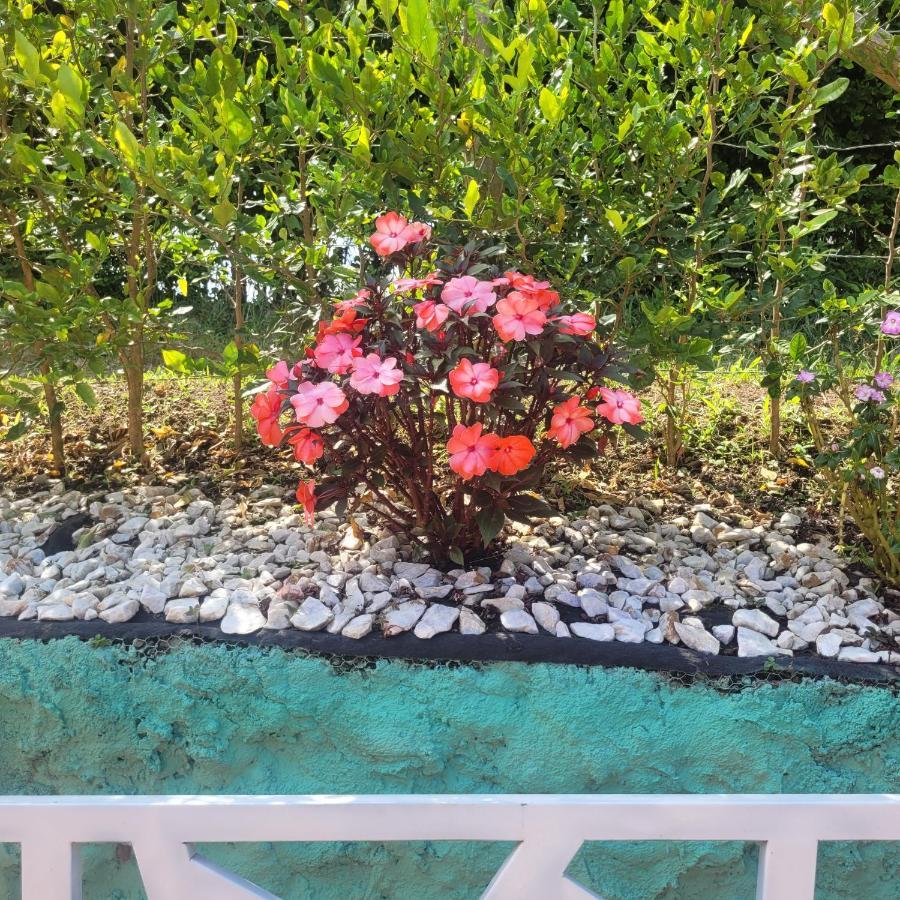 Finca Hotel El Turpial Quimbaya Zewnętrze zdjęcie